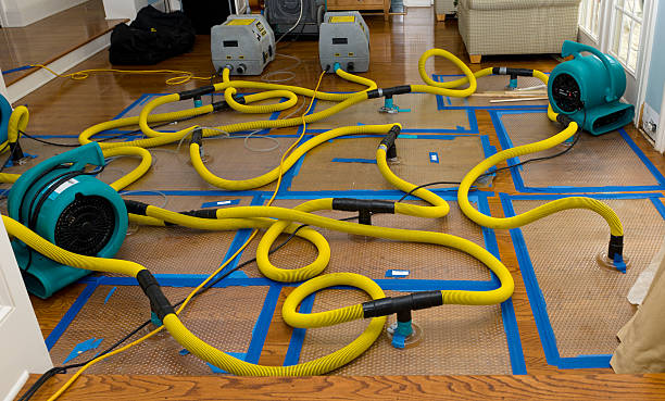 Professional Water Damage Restoration technician working in Berger, MO